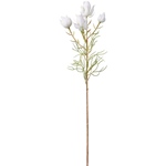 MAGIQ　パステルフラワーピック＃１　　ＷＨＩＴＥFM002160-001　造..