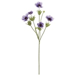 MAGIQ　ブリーズアネモネスプレー＃１７　ＰＵＲＰＬＥFM004186-017..