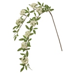 MAGIQ　ミルキースカビオサピック＃２　　ＰＩＮＫFM001188-002　造..