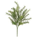 MAGIQ　ペペロミアカペラータバインＧＲＥＥＮFG008707-zzz　フェイ..