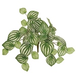 MAGIQ　ガーデンアイビーバインＧＲＥＥＮFG008874-zzz　フェイクグ..