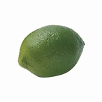 リボン　ラッピング　包装資材 ＯＰＰテープ（５巻入り）  SH007107-zz..