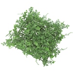 MAGIQ　シェルファーンマットＧＲＥＥＮFG009632-zzz　フェイクグリ..