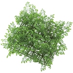 MAGIQ　丸葉ユーカリＧＲＥＥＮFG009683-zzz　フェイクグリーン　イ..