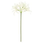 バラ　ばら　バラ　造花　東京堂　プリマスプレーローズ＃１　　ＣＲＥＡＭFM002..