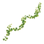 MAGIQ　マチュリテコットンウッドバインＬＴＧＲFG005278-zzz　フェ..