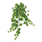 MAGIQ　マチュリテコットンウッドロングバインＬＴＧＲFG005279-zzz..