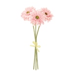 MAGIQ　ソレイユガーベラバンドル＃４　　ＬＴＹＬFM002832-004　造..