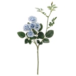 MAGIQ　クラリティハイドレンジア＃１　　ＷＨＩＴＥFM000239-001　..