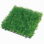 MAGIQ　エアプランツ＃２４　ＧＲＥＥＮFG001364-024　フェイクグリ..