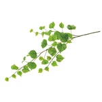 MAGIQ　マチュリテコットンウッドガーランドＬＴＧＲFG005277-zzz　..