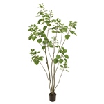 MAGIQ　ファイカスツリーポット　ミニＧＲＥＥＮFG005830-zzz　フェ..