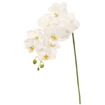 MAGIQ　フレッシュサンフラワーブッシュＹＥＬＬＯＷFM000358-zzz　..