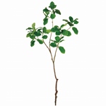 MAGIQ　四葉クローバーＧＲＥＥＮFG008198-zzz　フェイクグリーン　..