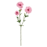 MAGIQ　プライマルツインカサブランカ＃１　　ＷＨＩＴＥFM004122-00..