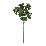 MAGIQ　ヘデラアイビーベリーバインＧＲＥＥＮFG006349-zzz　フェイ..