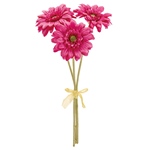 MAGIQ　ソレイユガーベラバンドル＃２１　ＧＯ．ＹＥＬFM002832-021..