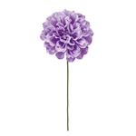 MAGIQ　プライムダリアピック＃１６　ＢＥＡＵＴＹFM000414-016　造..