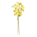 MAGIQ　ジュディスイトピーバンドル＃１１１　ＴＴＬＶFM006014-111..