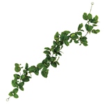 MAGIQ　フロックローズマリースプレーＧＲ．ＧＲFG009292-zzz　フェ..