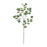 MAGIQ　バンブーユーカリスプレー＃１５　ＧＲＹ／ＧＲFG006762-015..