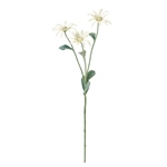 東京堂 花瓶 ＳフックＬ　シルバー  W3×D0.3×H6.5cm MC0637..