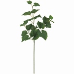 MAGIQ　ローズマリーピック＃２３　ＬＴ．ＧＲFG004989-023　フェイ..