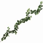 MAGIQ　ニュアンスユーカリブッシュＧＲＥＥＮFG006852-zzz　フェイ..