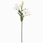 MAGIQ　プライマルツインカサブランカ＃２　　ＰＩＮＫFM004122-002..