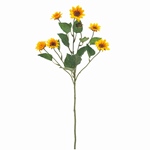 MAGIQ　スプレンダアンスリウム　Ｍ＃１　　ＷＨＩＴＥFM005173-001..