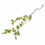 MAGIQ　ブライトミモザＹＥＬＬＯＷFM002193-zzz　造花