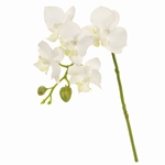 MAGIQ　グランディアサンフラワーＧＯＬＤＹＥＬＬＯＷFM005294-zzz..