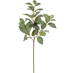 MAGIQ　シンゴニュームブッシュＧＲＥＥＮFG008101-zzz　フェイクグ..