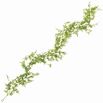 MAGIQ　サーキュラーユーカリブッシュＧＲＥＥＮFG006307-zzz　フェ..