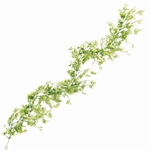 MAGIQ　フレッシュグリーンブーケ＃１７　ＰＰ／ＧＲFG007764-017　..