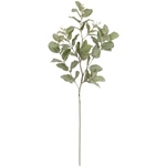 MAGIQ　ブライディーミントショートＧＲＥＥＮFG009207-zzz　フェイ..