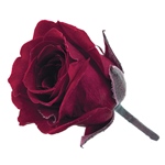 ビビアンモーニングイエローDO002370-501　自然素材　ドライフラワー　プ..