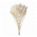 プリザーブドフラワー ローズ・ココット ミストブルー DO002730-671