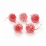 プリザーブドフラワー 千日紅・プリザーブド・ヘッド 白 DO003453-011