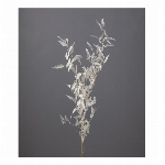 プリザーブドフラワー ローズ・ミミ ジュリアオレンジ DO003840-361