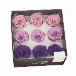 プリザーブドフラワー ローズ・かのん・Ｍ・カラーアソート オレンジミックス DO..