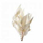 プリザーブドフラワー ローズ・かのん・Ｍ・カラーアソート グリーンミックス DO..