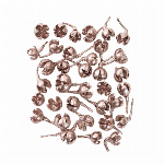 プリザーブドフラワー ユーカリ・エキゾチカ・葉付 スプリンググリーン DO040..