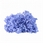 資材 ★ＡＸ★華の精１０ＭＬ １袋（１００コ）販売 GS011441-zzz