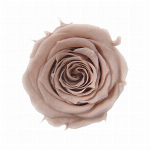 プリザーブドフラワー ピッコラブロッサムローズ ゴールデンイエロー FL0000..