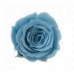 プリザーブドフラワー ピッコラブロッサムローズ ヘ?ゼルナッツ FL000041..