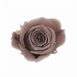 プリザーブドフラワー ピッコラブロッサムローズ ホリゾンブルー FL000041..