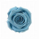 プリザーブドフラワー ベイビーローズ ドルチェピンク FL000050-090