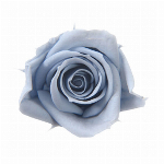 プリザーブドフラワー スプレーローズ シャーベットオレンジ FL000070-0..