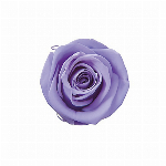 プリザーブドフラワー スプレーローズ コットンブルー FL000070-056